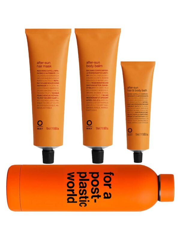 after-sun hair & body kit